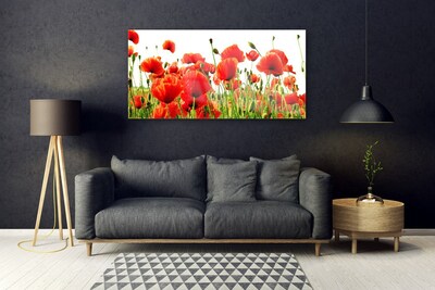 Tableaux sur verre Coquelicots nature rouge vert