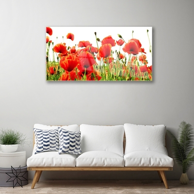 Tableaux sur verre Coquelicots nature rouge vert