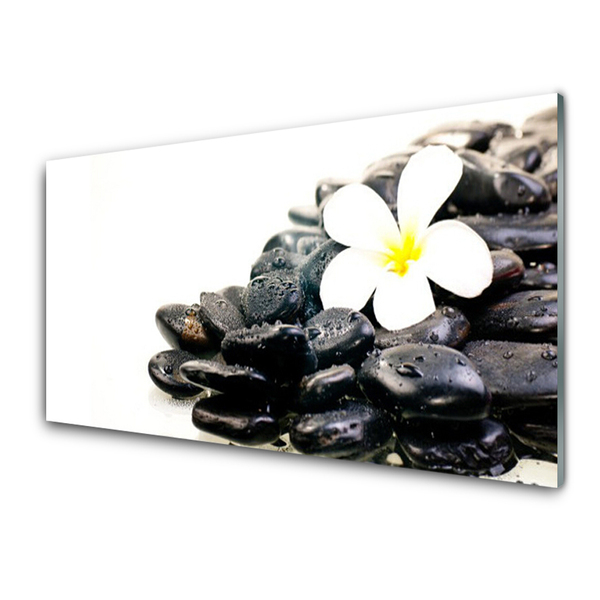 Tableaux sur verre Fleurs pierres art blanc noir