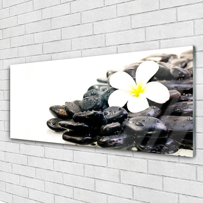 Tableaux sur verre Fleurs pierres art blanc noir