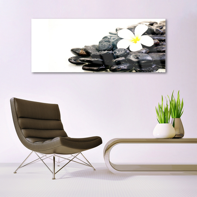 Tableaux sur verre Fleurs pierres art blanc noir