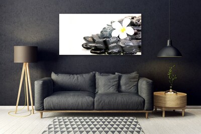 Tableaux sur verre Fleurs pierres art blanc noir