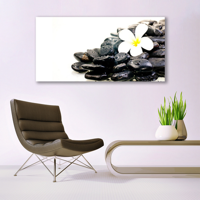 Tableaux sur verre Fleurs pierres art blanc noir