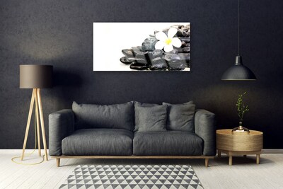 Tableaux sur verre Fleurs pierres art blanc noir