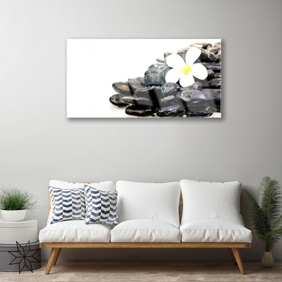 Tableaux sur verre Fleurs pierres art blanc noir