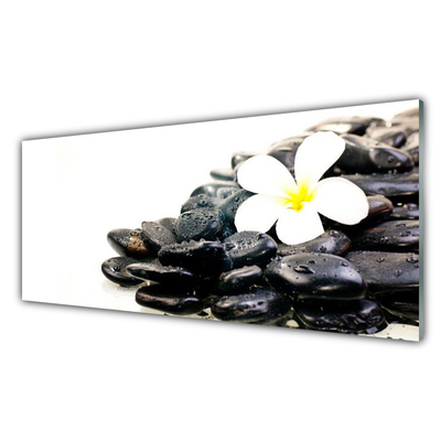 Tableaux sur verre Fleurs pierres art blanc noir