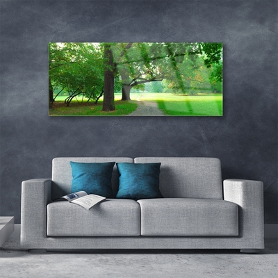 Tableaux sur verre Sentier arbres nature brun vert