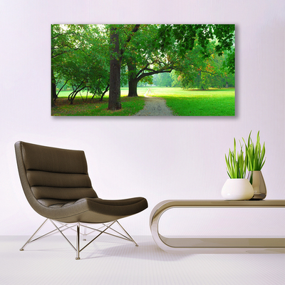 Tableaux sur verre Sentier arbres nature brun vert