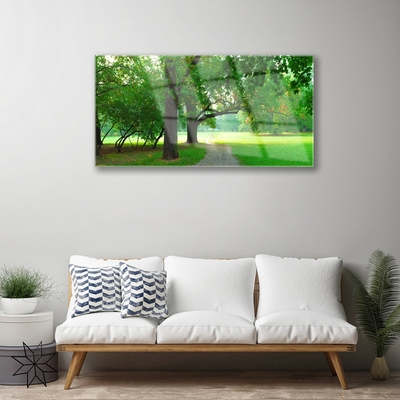 Tableaux sur verre Sentier arbres nature brun vert