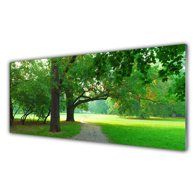 Tableaux sur verre Sentier arbres nature brun vert