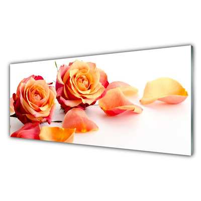 Tableaux sur verre Roses floral jaune orange