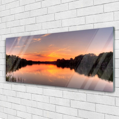 Tableaux sur verre Forêt lac paysage jaune vertgris