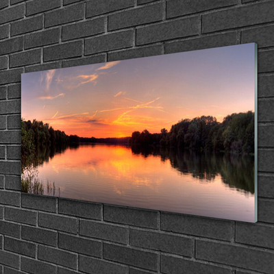 Tableaux sur verre Forêt lac paysage jaune vertgris