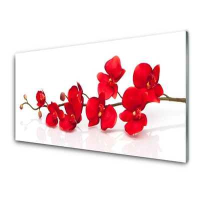 Tableaux sur verre Fleurs floral rouge