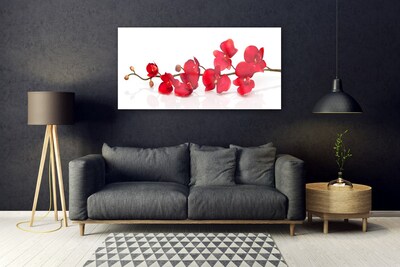 Tableaux sur verre Fleurs floral rouge