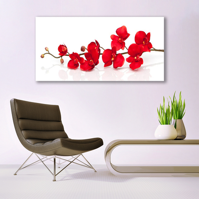 Tableaux sur verre Fleurs floral rouge