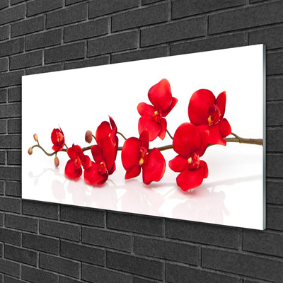 Tableaux sur verre Fleurs floral rouge