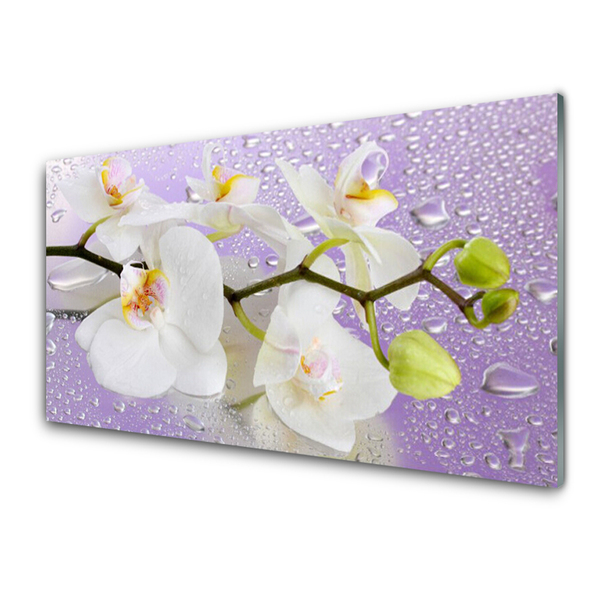 Tableaux sur verre Fleurs floral blanc