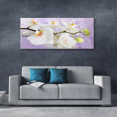 Tableaux sur verre Fleurs floral blanc