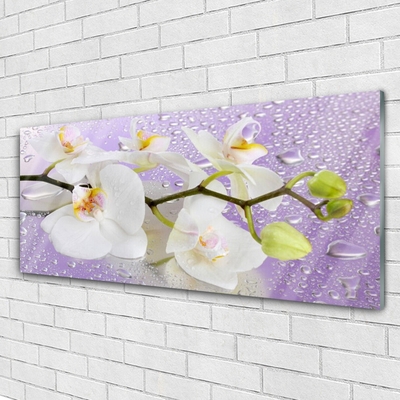 Tableaux sur verre Fleurs floral blanc