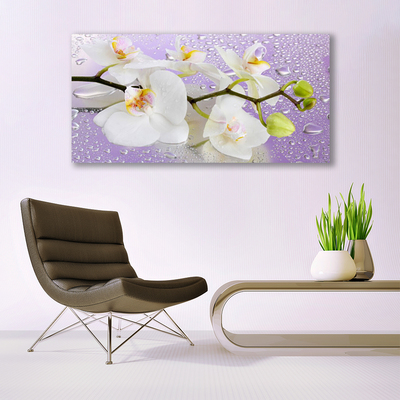 Tableaux sur verre Fleurs floral blanc