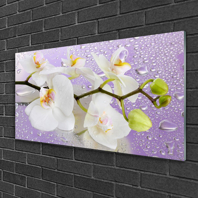 Tableaux sur verre Fleurs floral blanc