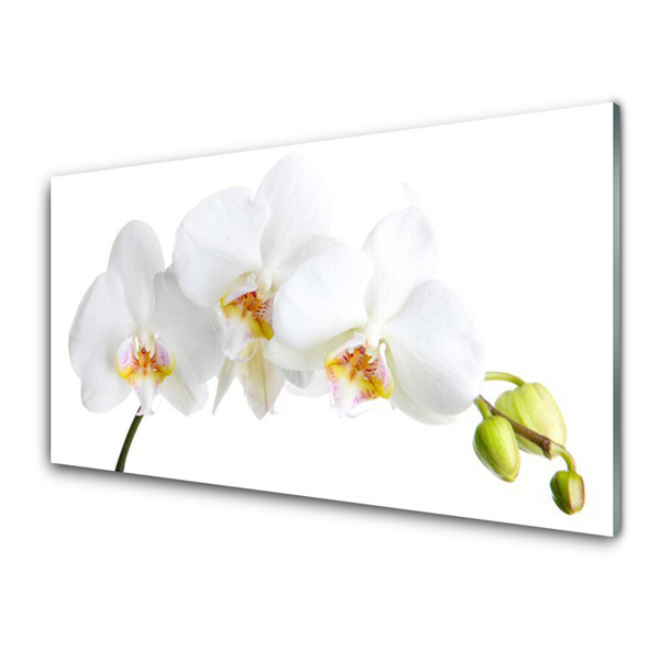 Tableaux sur verre Fleurs floral blanc