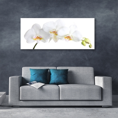 Tableaux sur verre Fleurs floral blanc