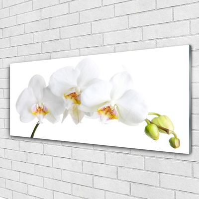Tableaux sur verre Fleurs floral blanc