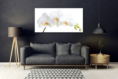 Tableaux sur verre Fleurs floral blanc