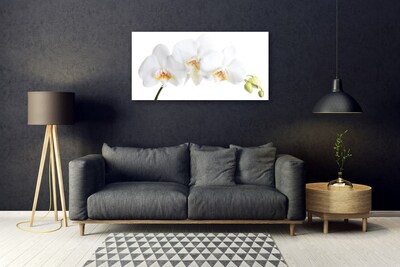 Tableaux sur verre Fleurs floral blanc