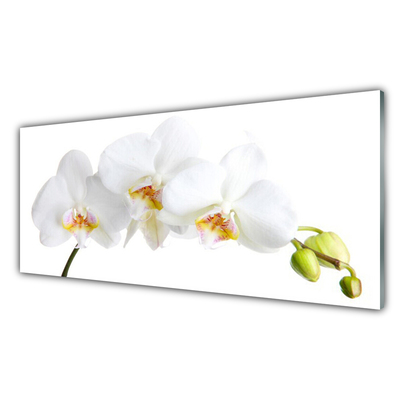 Tableaux sur verre Fleurs floral blanc