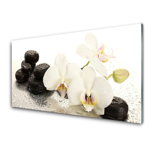 Tableaux sur verre Pierres fleurs floral blanc noir