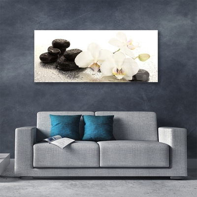 Tableaux sur verre Pierres fleurs floral blanc noir