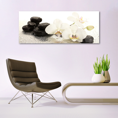 Tableaux sur verre Pierres fleurs floral blanc noir