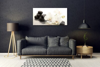 Tableaux sur verre Pierres fleurs floral blanc noir