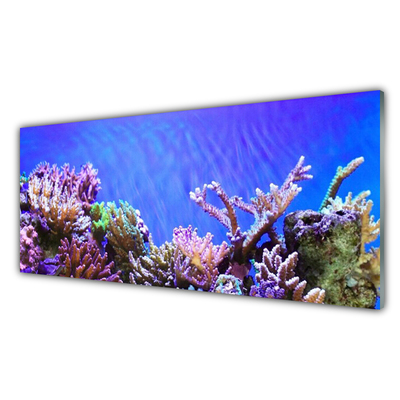 Tableaux sur verre Récif de corail nature multicolore