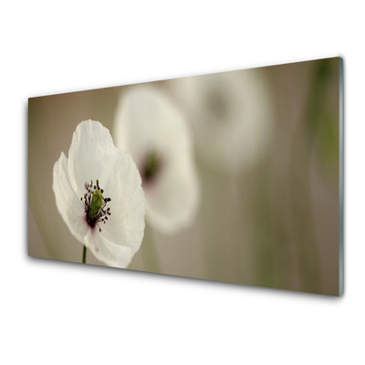 Tableaux sur verre Fleur floral blanc