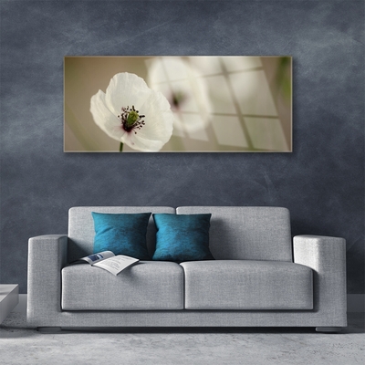 Tableaux sur verre Fleur floral blanc