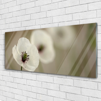 Tableaux sur verre Fleur floral blanc