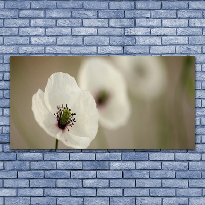 Tableaux sur verre Fleur floral blanc