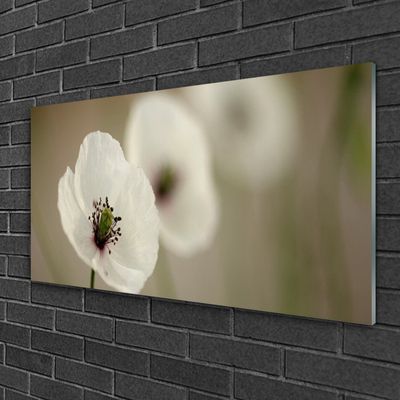 Tableaux sur verre Fleur floral blanc