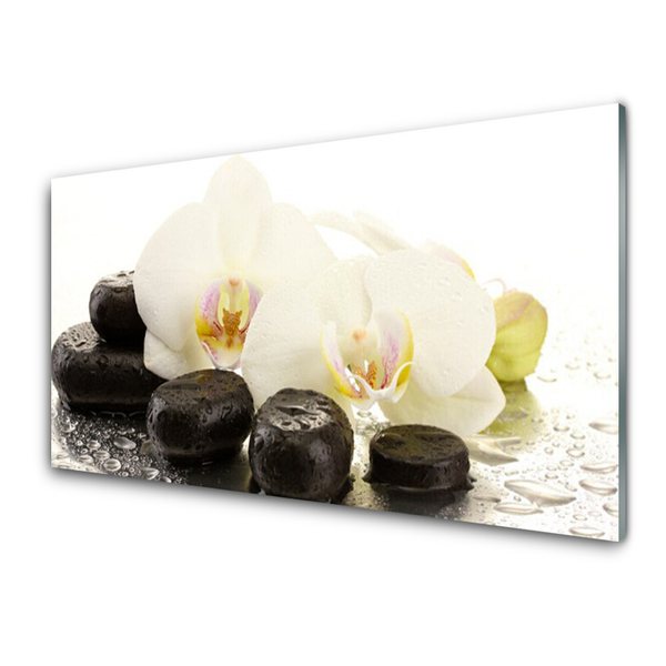 Tableaux sur verre Fleurs pierres art blanc noir