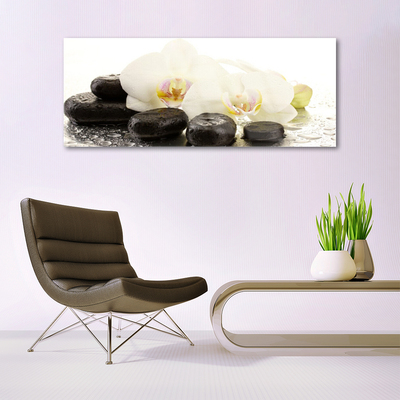 Tableaux sur verre Fleurs pierres art blanc noir