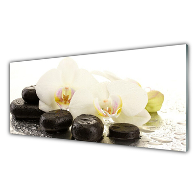 Tableaux sur verre Fleurs pierres art blanc noir