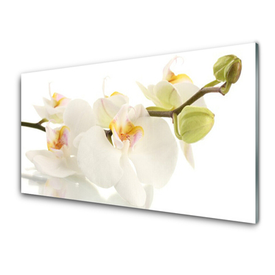 Tableaux sur verre Fleurs floral blanc