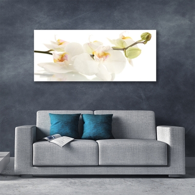 Tableaux sur verre Fleurs floral blanc