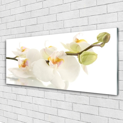 Tableaux sur verre Fleurs floral blanc