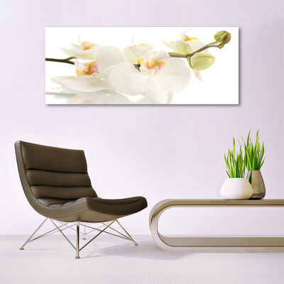 Tableaux sur verre Fleurs floral blanc