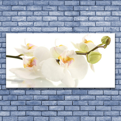 Tableaux sur verre Fleurs floral blanc